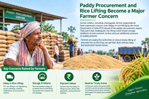 Paddy Procurement and Rice Lifting Become a Major Farmer Concern