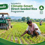 Jharsuguda Included in Climate-Smart Direct-Seeded Rice Programme